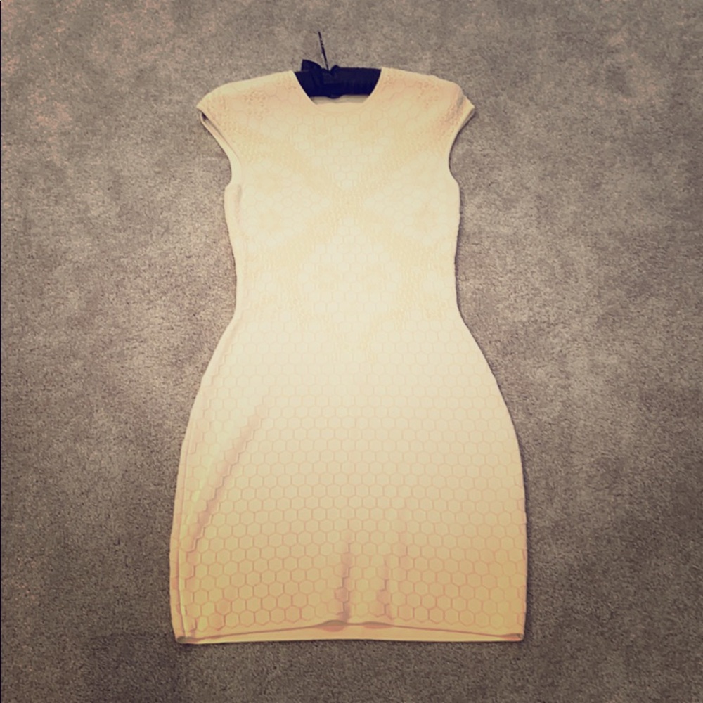 Alexander McQueen dress
